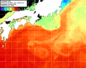 NOAA人工衛星画像:黒潮域, 1日合成画像(2025/10/18UTC)