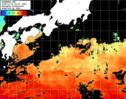 ひまわり人工衛星:黒潮域,14:59JST,1時間合成画像