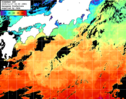 ひまわり人工衛星:黒潮域,11:59JST,1時間合成画像