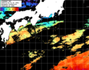 ひまわり人工衛星:黒潮域,10:59JST,1時間合成画像