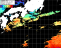 ひまわり人工衛星:黒潮域,12:59JST,1時間合成画像