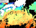 ひまわり人工衛星:黒潮域,14:59JST,1時間合成画像