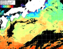 ひまわり人工衛星:黒潮域,08:59JST,1時間合成画像