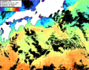 ひまわり人工衛星:黒潮域,13:59JST,1時間合成画像
