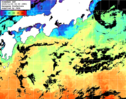 ひまわり人工衛星:黒潮域,11:59JST,1時間合成画像