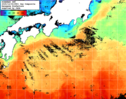 NOAA人工衛星画像:黒潮域, 1日合成画像(2025/12/04UTC)