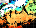 ひまわり人工衛星:黒潮域,12:59JST,1時間合成画像