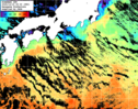 ひまわり人工衛星:黒潮域,14:59JST,1時間合成画像