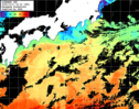ひまわり人工衛星:黒潮域,11:59JST,1時間合成画像