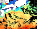 ひまわり人工衛星:黒潮域,15:59JST,1時間合成画像