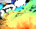 NOAA人工衛星画像:黒潮域, 1日合成画像(2025/12/25UTC)