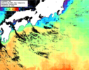 NOAA人工衛星画像:黒潮域, 1日合成画像(2025/12/26UTC)