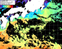 ひまわり人工衛星:黒潮域,11:59JST,1時間合成画像