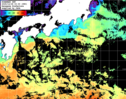 ひまわり人工衛星:黒潮域,12:59JST,1時間合成画像