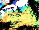 ひまわり人工衛星:黒潮域,11:59JST,1時間合成画像