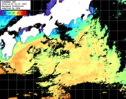ひまわり人工衛星:黒潮域,12:59JST,1時間合成画像