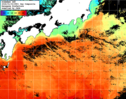NOAA人工衛星画像:黒潮域, 1日合成画像(2026/01/02UTC)