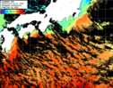ひまわり人工衛星:黒潮域,11:59JST,1時間合成画像