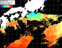 ひまわり人工衛星:黒潮域,14:59JST,1時間合成画像