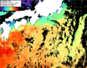 ひまわり人工衛星:黒潮域,14:59JST,1時間合成画像
