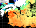 ひまわり人工衛星:黒潮域,12:59JST,1時間合成画像