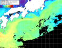NOAA人工衛星画像:黒潮域, 1日合成画像(2026/05/12UTC)