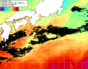 NOAA人工衛星画像:黒潮域, 1日合成画像(2026/06/29UTC)