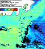 ひまわり人工衛星:神奈川県近海,15:59JST,1時間合成画像