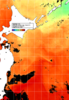NOAA人工衛星画像:親潮域, 1日合成画像(2026/08/11UTC)