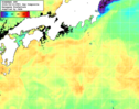 NOAA人工衛星画像:黒潮域, 1日合成画像(2026/08/12UTC)