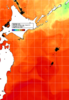 NOAA人工衛星画像:親潮域, 1日合成画像(2026/08/19UTC)