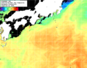 NOAA人工衛星画像:黒潮域, 1日合成画像(2026/09/08UTC)