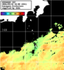 ひまわり人工衛星:神奈川県近海,03:59JST,1時間合成画像