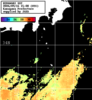 ひまわり人工衛星:神奈川県近海,00:59JST,1時間合成画像