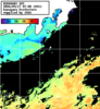 ひまわり人工衛星:神奈川県近海,16:59JST,1時間合成画像