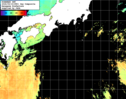 NOAA人工衛星画像:黒潮域, 1日合成画像(2026/09/19UTC)